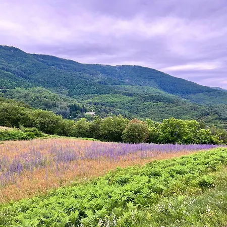 Grand Proche Des Lacs Nyaraló *