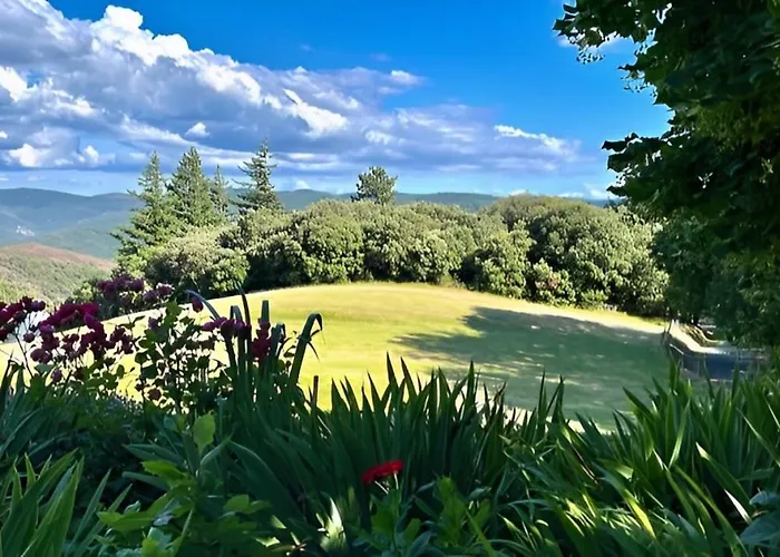 Grand Proche Des Lacs *